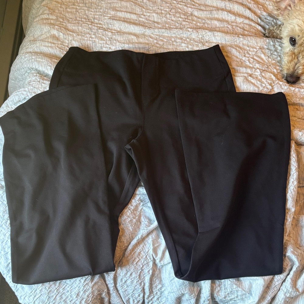 Halara Low Rise Casual Pants NWOT